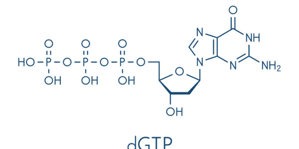 什么是脱氧川苷三磷酸（DGTP）？